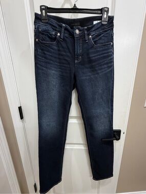 Silver Jeans Dark Blue Skinny Jeans